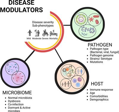 Frontiers | Viral Infectious Diseases Severity: Co-presence Of ...